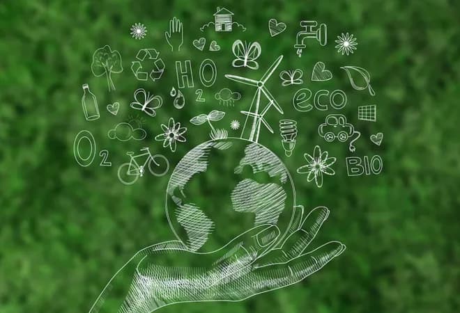 Sustainable Future at Varda Food Group